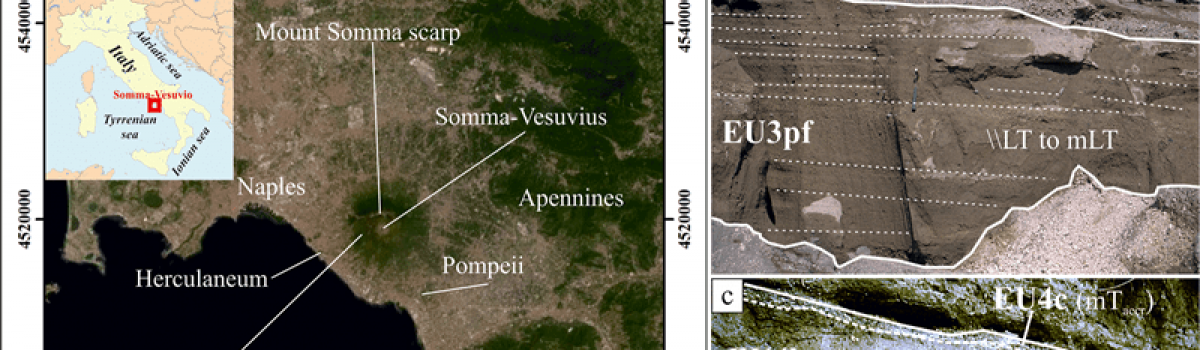 Reproducing pyroclastic density current deposits of the 79 CE eruption of the Somma–Vesuvius volcano using the box-model approach