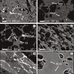 FIGURA 3 - Immagini (SEM-BSE) delle principali tessiture e dei minerali identificati negli xenoliti pumicei.