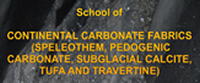 School of Continental Carbonate Fabrics  (Speleothem, Pedogenic Carbonate, Subglacial Calcite, Tufa and Travertine)