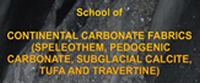 School of Continental Carbonate Fabrics (Speleothem, Pedogenic Carbonate, Subglacial Calcite, Tufa and Travertine)