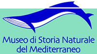 Logo Museo di Storia Naturale del Mediterraneo