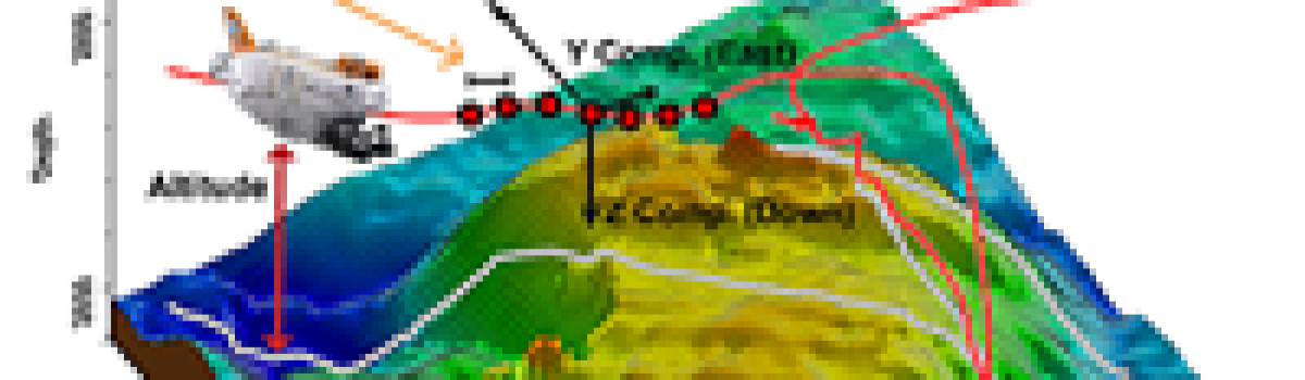 Toward continuous quantification of lava extrusion rate: Results from the multidisciplinary analysis of the 2 January 2010 eruption of Piton de la Fournaise volcano, La Réunion