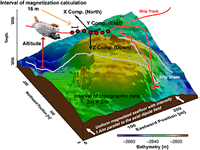 Toward continuous quantification of lava extrusion rate: Results from the multidisciplinary analysis of the 2 January 2010 eruption of Piton de la Fournaise volcano, La Réunion