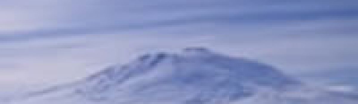 Expert Group on Antarctic Volcanism (ANTVOLC)