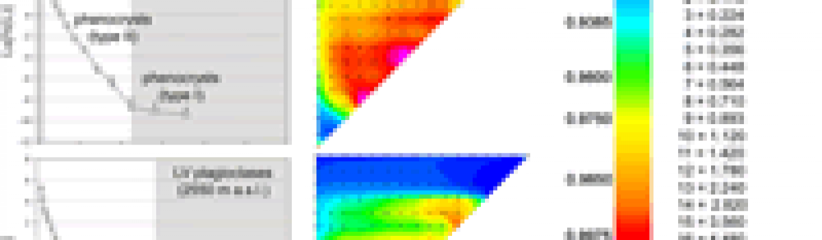 Crystal size distributions of plagioclase in lavas from the July–August 2001 Mount Etna eruption