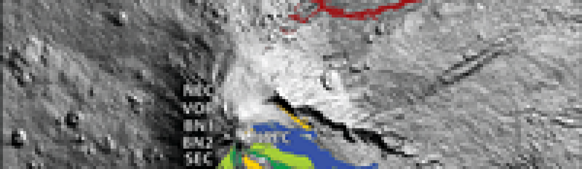 Constraints on the Nature and Evolution of the Magma Plumbing System of Mt. Etna Volcano (1991–2008) from a Combined Thermodynamic and Kinetic Modelling of the Compositional Record of Minerals