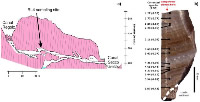 Fig. 2 - a) Geological section of the Renella cave. The RL4 position is also shown; b) RL4 section with U/Th dating position (Drysdale et al., 2006; Zhornyak et al., 2011).