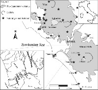 Gas blowout from shallow boreholes near Fiumicino International Airport (Rome): Gas origin and hazard assessment