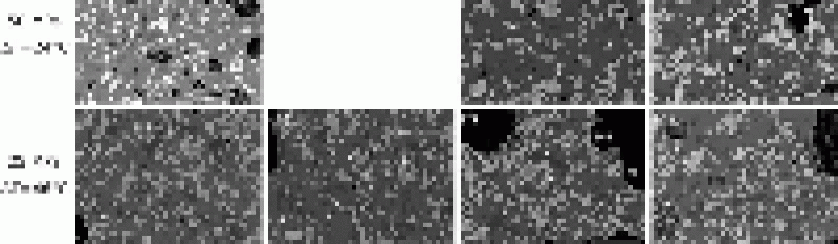 Plagioclase nucleation and growth kinetics in a hydrous basaltic melt by decompression experiments