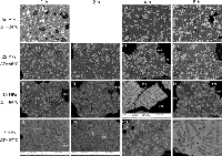 Plagioclase nucleation and growth kinetics in a hydrous basaltic melt by decompression experiments