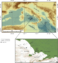 Marine response to climate changes during the last five millennia in the central Mediterranean Sea