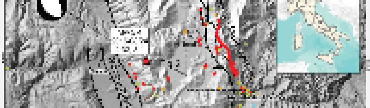 Coseismic effects of the 2016 Amatrice seismic sequence: first geological results