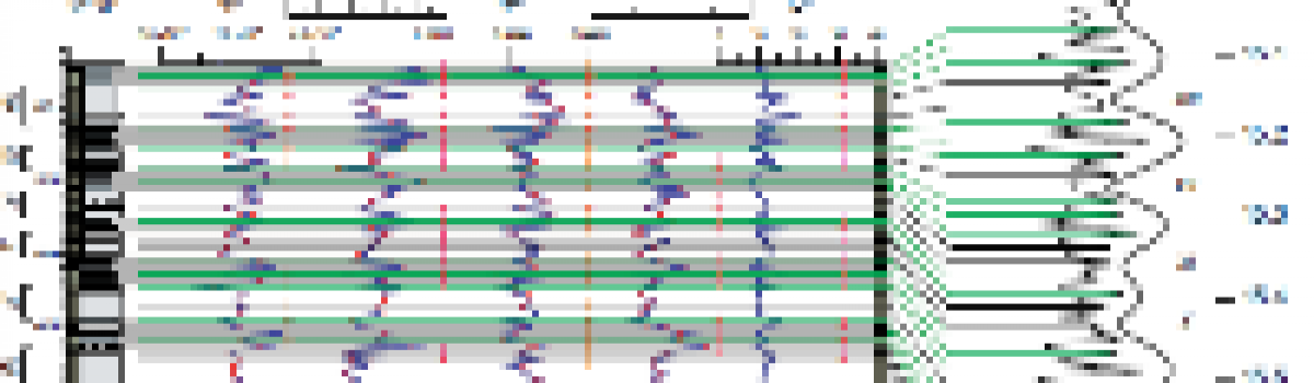 Astronomical tuning of the La Vedova section between 16.3 and 15.0 Ma. Implications for the origin of megabeds and the Langhian GSSP