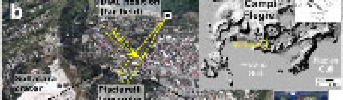 A new frontier in CO2 flux measurements using a highly portable DIAL laser system