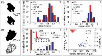 (a) Examples of SEM images of ETB and LSP ash particles. The top images represent the particle outline; the bottom images show the area occupied by vesicles (in white). (b,c) Normalised frequency distribution of the shape factors F4 and Ψ10, used to compute the individual settling velocity of the particles using literature models. (d) Frequency distribution of 2-D vesicularity α, calculated as the fraction of the total projected area occupied by voids. Inset shows expanded vesicularity plot for ETB. (e) Diameter de vs. density ρp (and vesicularity α) diagram. The density of the analysed particle population is calculated from bulk density according to the vesicularity of each particle.