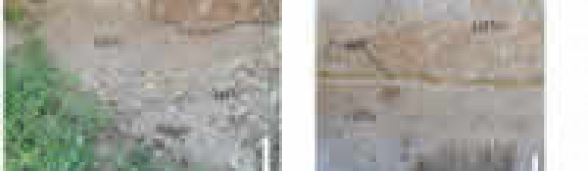 New findings of the Campanian Ignimbrite ash within slope deposits of the Treska valley (former Yugoslav Republic of Macedonia)