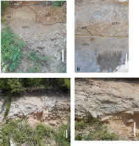 Outcrop exposure of the studied deposits
