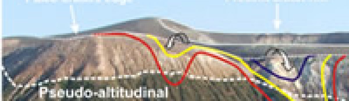 Volcanogenic SO2, a natural pollutant: Measurements, modeling and hazard assessment at Vulcano Island (Aeolian Archipelago, Italy)