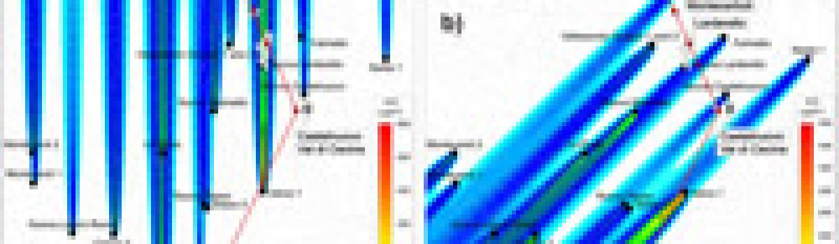 Modelling of hydrogen sulfide dispersion from the geothermal power plants of Tuscany (Italy)