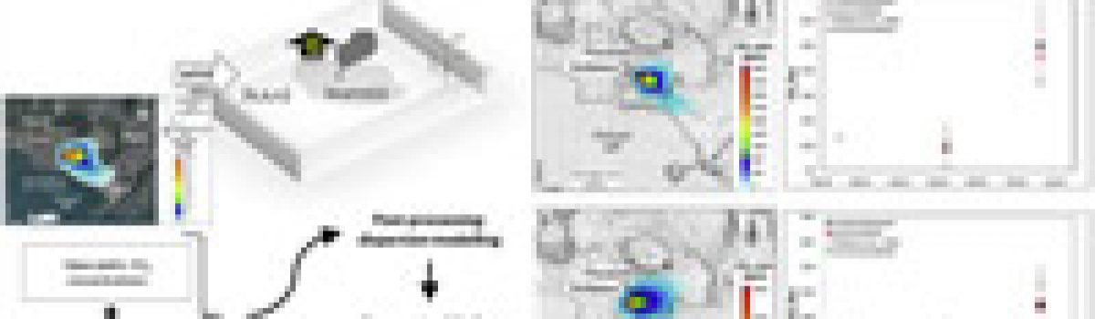 Improved quantification of CO2 emission at Campi Flegrei by combined Lagrangian Stochastic and Eulerian dispersion modelling
