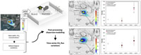 Improved quantification of CO2 emission at Campi Flegrei by combined Lagrangian Stochastic and Eulerian dispersion modelling