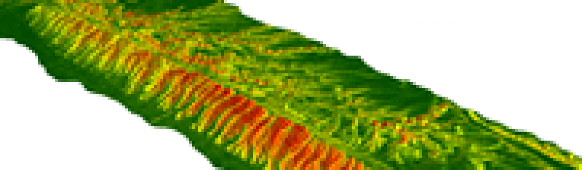 Sharpening our view of active Earth processes with high resolution topography