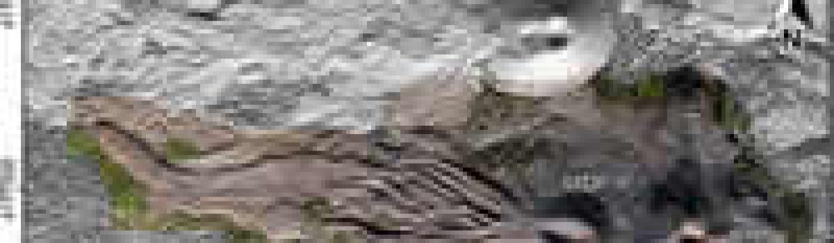 UAV-based remote sensing surveys of lava flow fields: a case study from Etna’s 1974 channel-fed lava flows