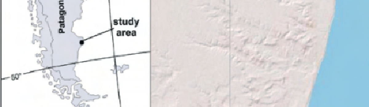 Last Interglacial Sea-level highstand deduced from notches and inner margins of marine terraces at Puerto Deseado, Santa Cruz Province, Argentina