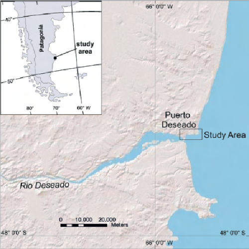 Last Interglacial Sea-level highstand deduced from notches and inner margins of marine terraces at Puerto Deseado, Santa Cruz Province, Argentina