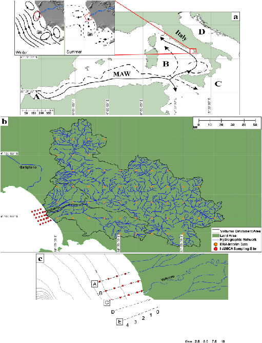 Living and thanatocoenosis coccolithophore communities in a neritic area of the central Tyrrhenian Sea