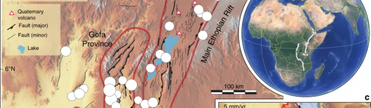 Aborted propagation of the Ethiopian rift caused by linkage with the Kenyan rift