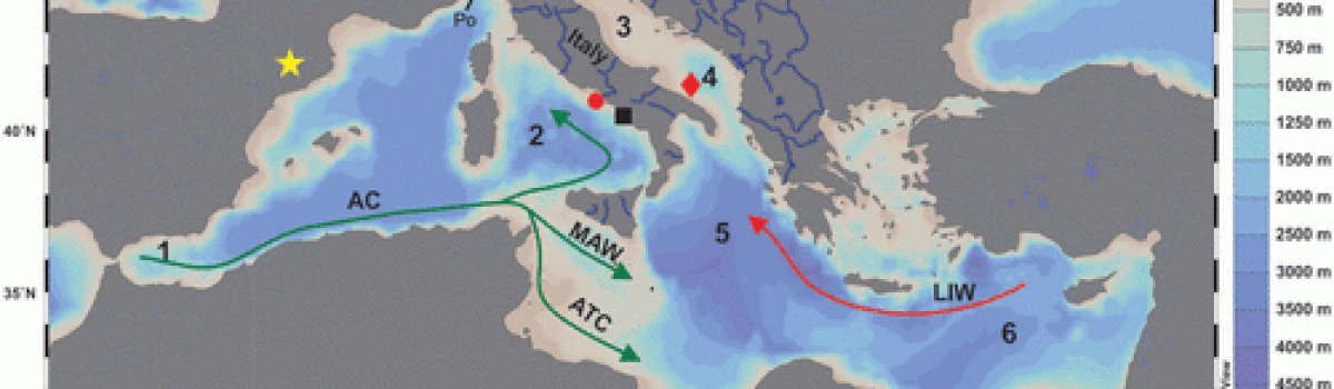 Climate variability of the last ~2700 years in the Southern Adriatic Sea: Coccolithophore evidences