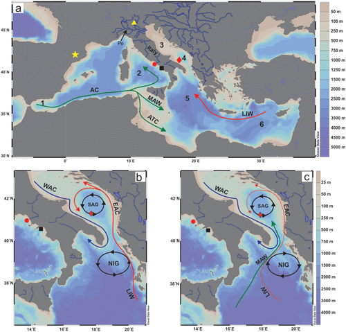 Climate variability of the last ~2700 years in the Southern Adriatic Sea: Coccolithophore evidences