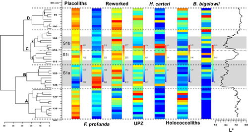 The response of calcareous plankton to the Sapropel S1 interval in North Ionian Sea