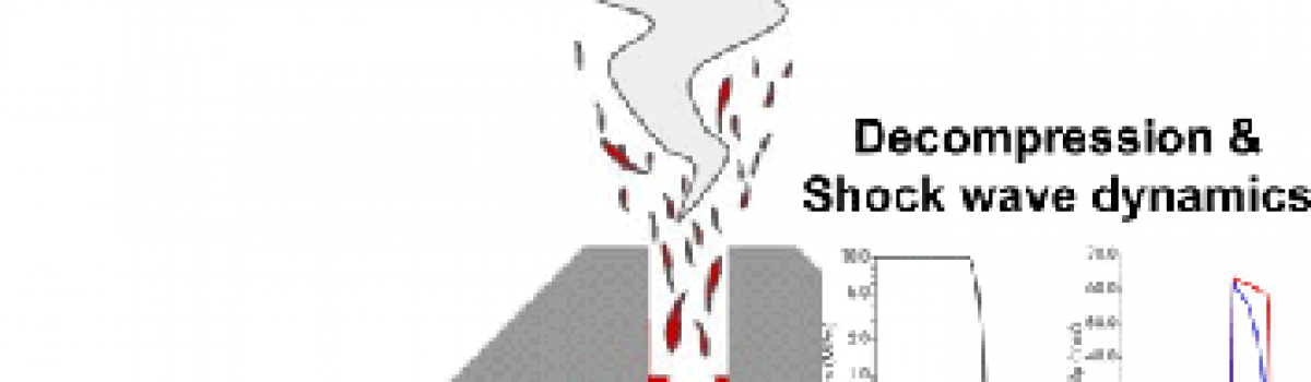 MagmaFOAM-1.0: a modular framework for the simulation of magmatic systems 