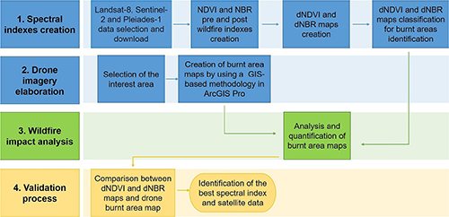 Remote Sensing in Earth Systems Sciences, Iacono et al 2025 - Figure 2