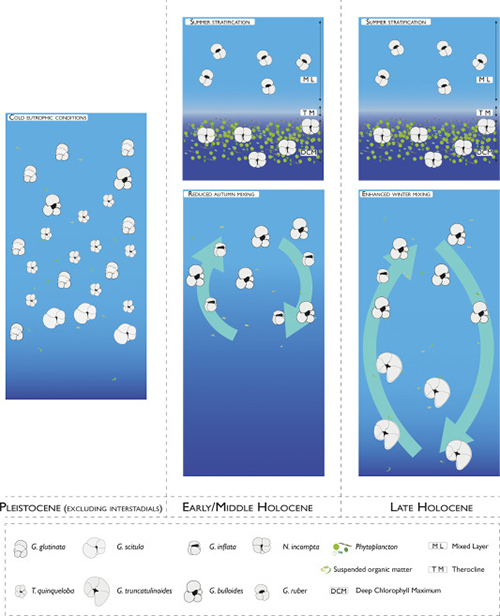 Palaeogeography, Palaeoclimatology, Palaeoecology -Martinelli et al. 2025, Figure 5